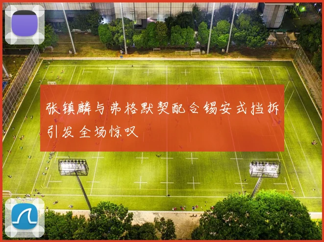 张镇麟与弗格默契配合锡安式挡拆引发全场惊叹